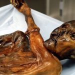 otzi