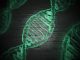 Kayıp Genlerin Gizemi – Karanlık DNA Fenomeni