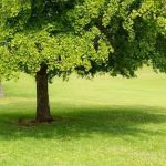 images (5)