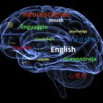 Language_brain