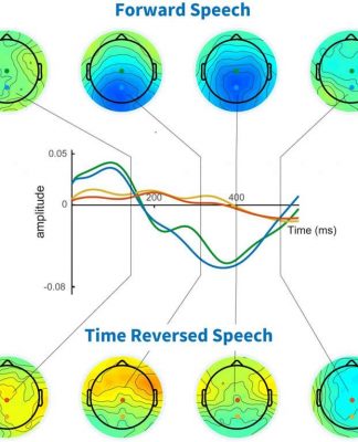 Beyin Kelimeleri Anlamlarına Göre Nasıl Seçiyor?