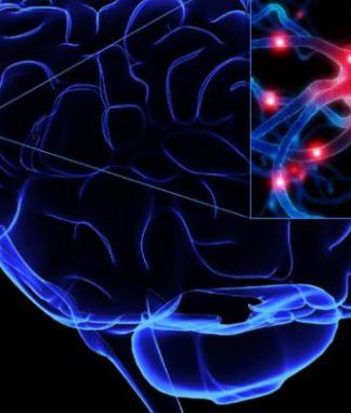 Beyin Plastisitesinin Sırrı Nedir?