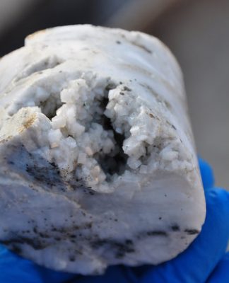 Bu Mikroplar Orada Nasıl Yaşıyor?