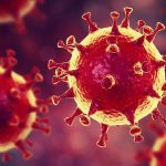 Çin’deki Gizemli Pnömoni Salgınının Nedeni SARS İle İlgili Yeni Bir Tür Virüs Olabilir