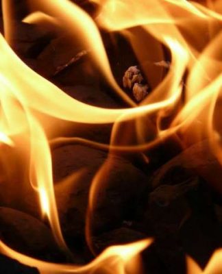 Biyokütle Yakmanın Bilinmeyenleri