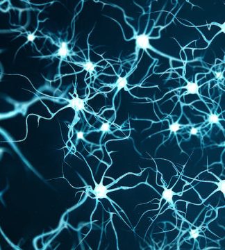 Nöronlar Genom Hasarlarını Rastgele Onarmıyor