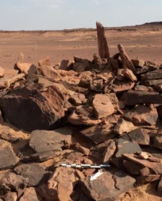 Suudi Arabistan’da Evcil Bir Köpeğe Ait 6,000 Yıllık Kemikler Bulundu