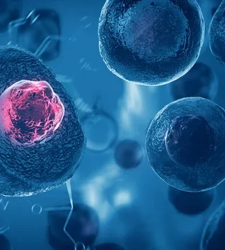 Hücreler sanılandan daha akıllı